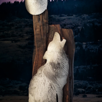 Hurlement à la pleine lune
