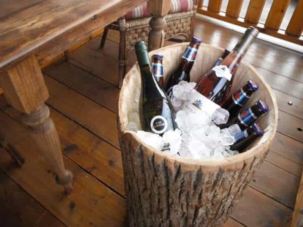 Ice bucket