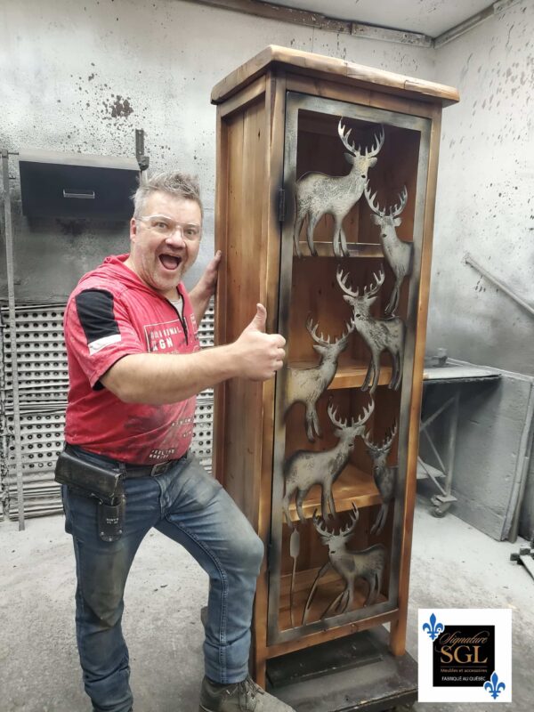 Storage cabinet/bar