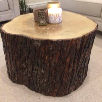 living room log