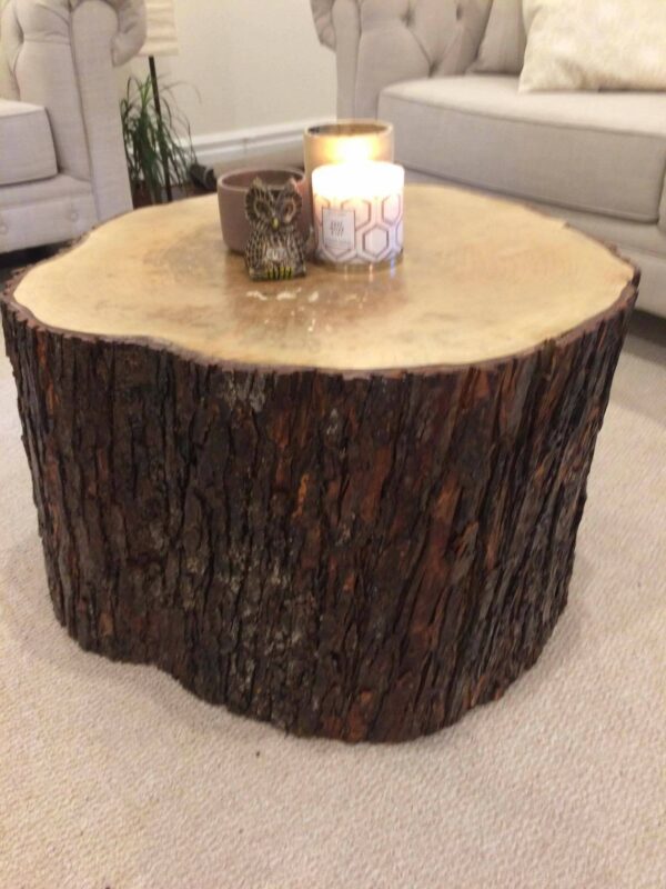 living room log