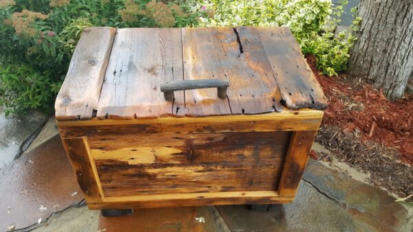 Trunk