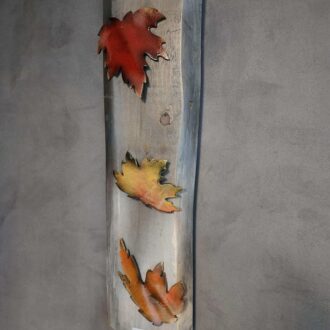 Autumn in Colors