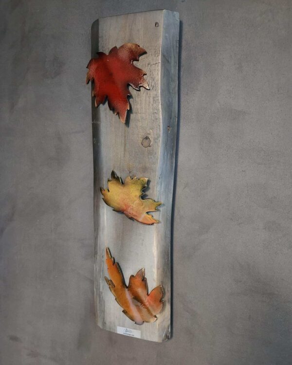 Automne en Couleurs