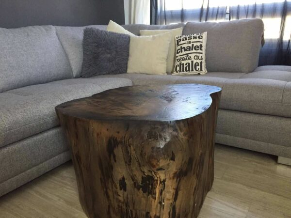 living room log - Image 2