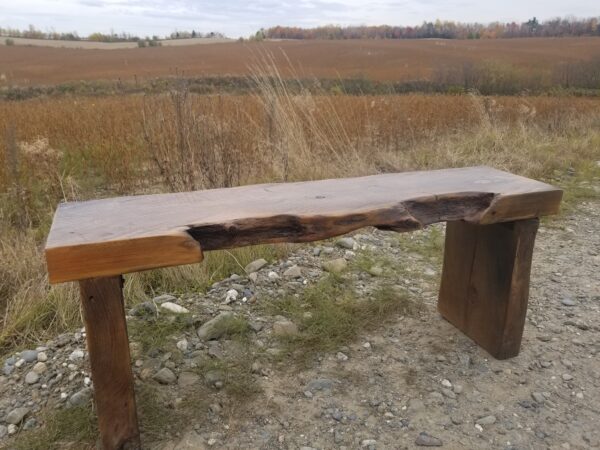 Bench with natural steel leg - Image 37