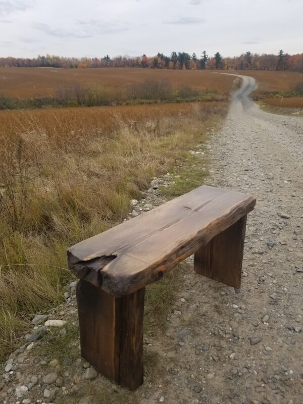 Bench with natural steel leg - Image 38